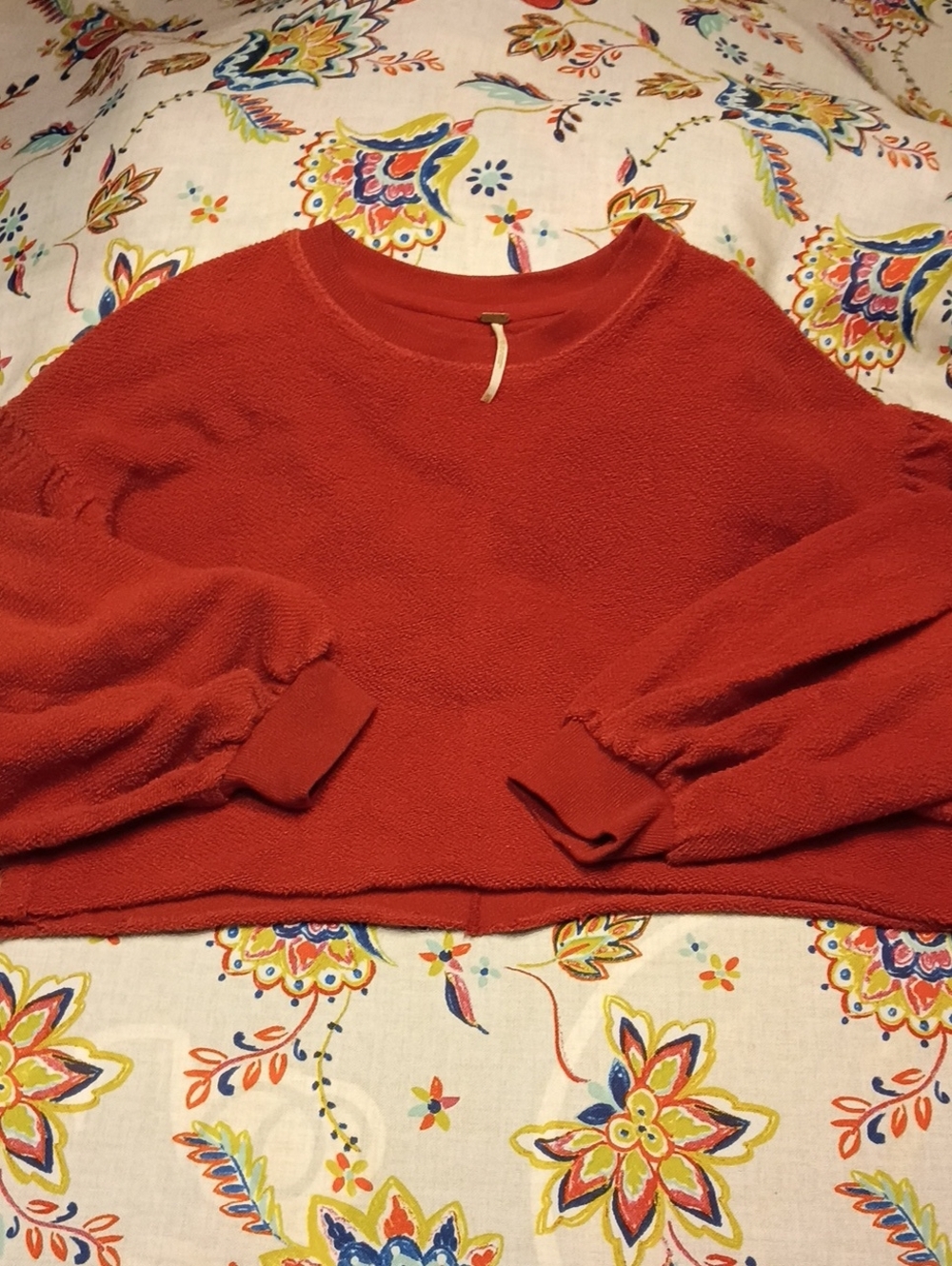 Free People Small Crop Sweater